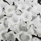 vit-frostad-änglakjol-blomma.jpg