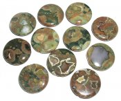 Myntformad pärla i Rhyolite 2-pack