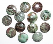 Myntformade pärlor i stenen Snakeskin jasper 2-pack