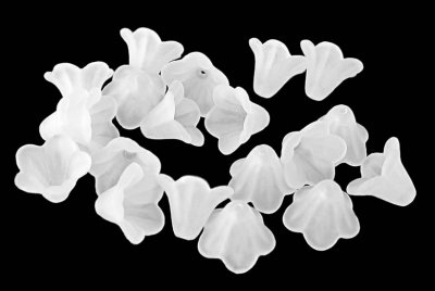 vit-frostad-änglakjol-blomma.jpg