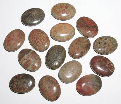 Ovala pärlor av "Fossil stone" 2-pack