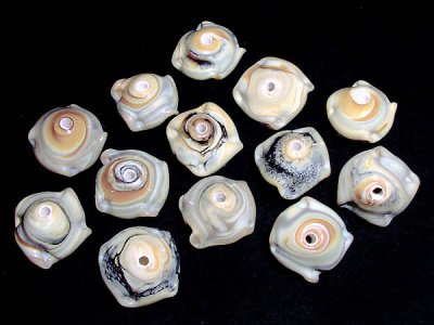 Snäckformad pärla i naturfärger