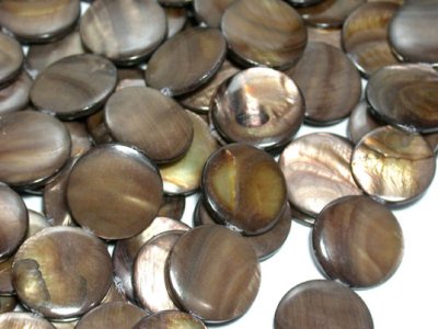 myntformad pärla i brunt snäckskal